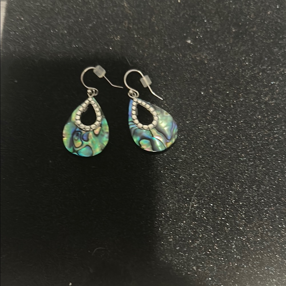 Piper Abalone Teardrop Earrings 39$
